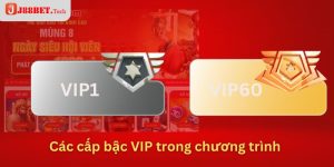 Các cấp bậc VIP trong chương trình