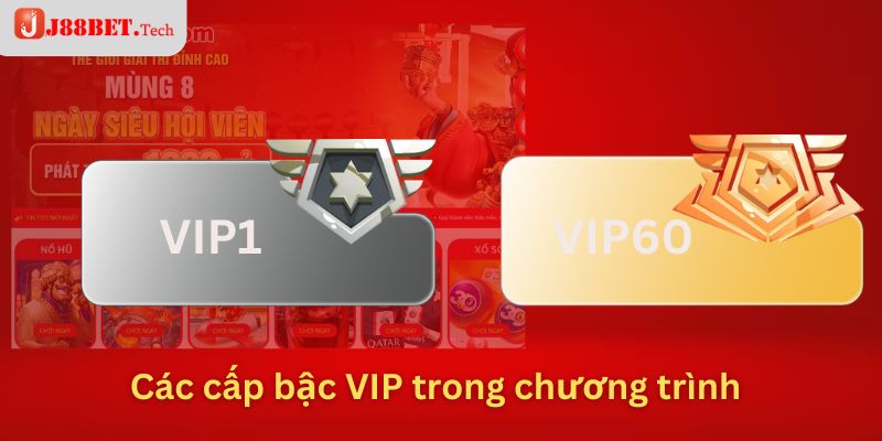 Các cấp bậc VIP trong chương trình