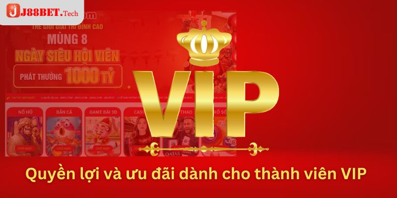 Quyền lợi và ưu đãi dành cho thành viên VIP